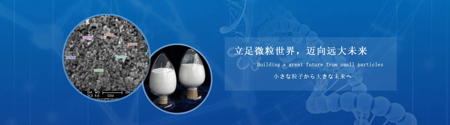 山東德福涂料有限公司